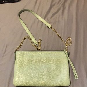 Fossil Mint Gold Chain Crossbody